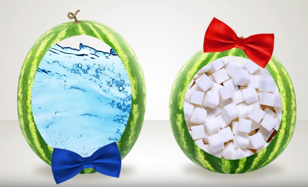 male and female watermelon, female are more sugary and sweet, male more watery